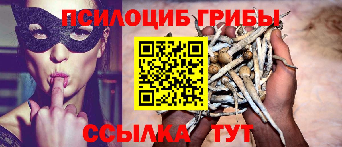 Псилоцибиновые грибы Cubensis  Вход с VPN  Рязань 